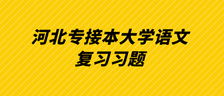 河北专接本大学语文复习习题.png