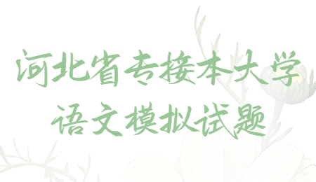 河北省专接本大学语文模拟试题.jpg