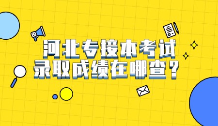 河北专接本考试录取成绩在哪查？