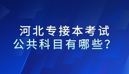 河北专接本考试公共科目有哪些？