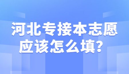 河北专接本志愿应该怎么填?