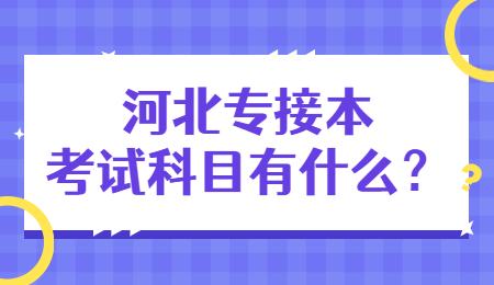河北专接本考试科目有什么?
