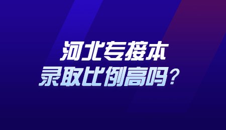 河北专接本录取比例高吗？