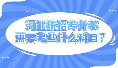 河北统招专升本需要考些什么科目？