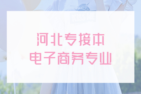 河北专接本电子商务专业
