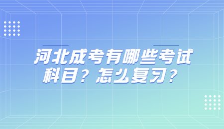 河北成考