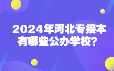 河北专接本有哪些公办学校