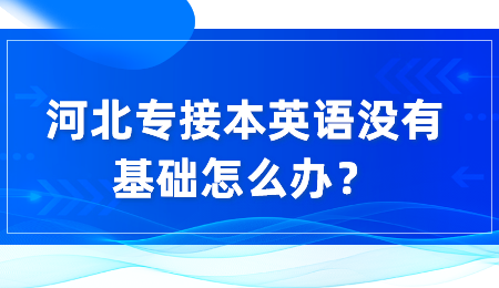 河北专接本英语没有基础怎么办？.png