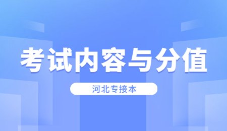 河北专接本考试内容与分值