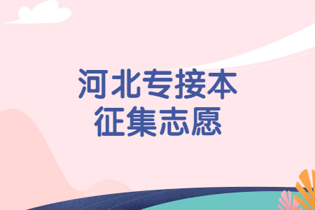 河北专接本征集志愿