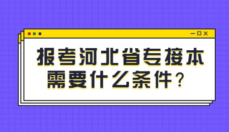 河北省专接本需要什么条件.jpg