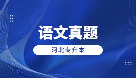 河北专接本