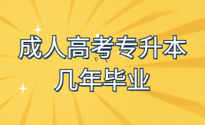 成人高考专升本