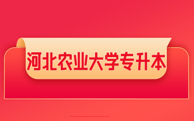 河北农业大学专升本.png